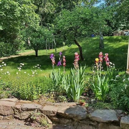 Gruene Wohlfuehloase In Einer Stadtvilla * Галль