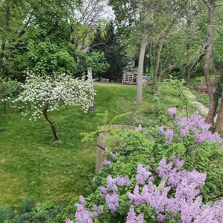 Gruene Wohlfuehloase In Einer Stadtvilla Апартаменты Галль